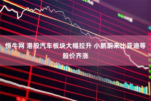 恒牛网 港股汽车板块大幅拉升 小鹏蔚来比亚迪等股价齐涨