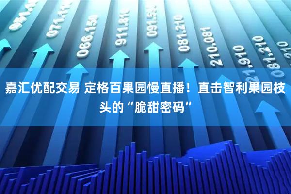 嘉汇优配交易 定格百果园慢直播!直击智利果园枝头的“脆甜密码”