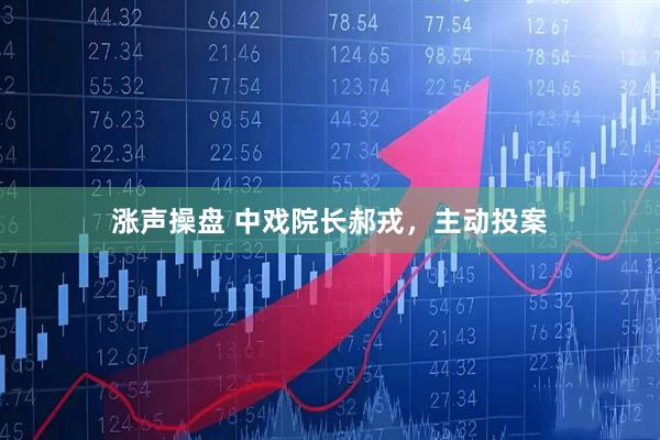 涨声操盘 中戏院长郝戎，主动投案