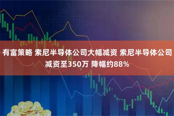 有富策略 索尼半导体公司大幅减资 索尼半导体公司减资至350万 降幅约88%