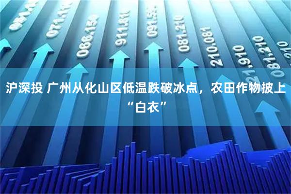 沪深投 广州从化山区低温跌破冰点，农田作物披上“白衣”